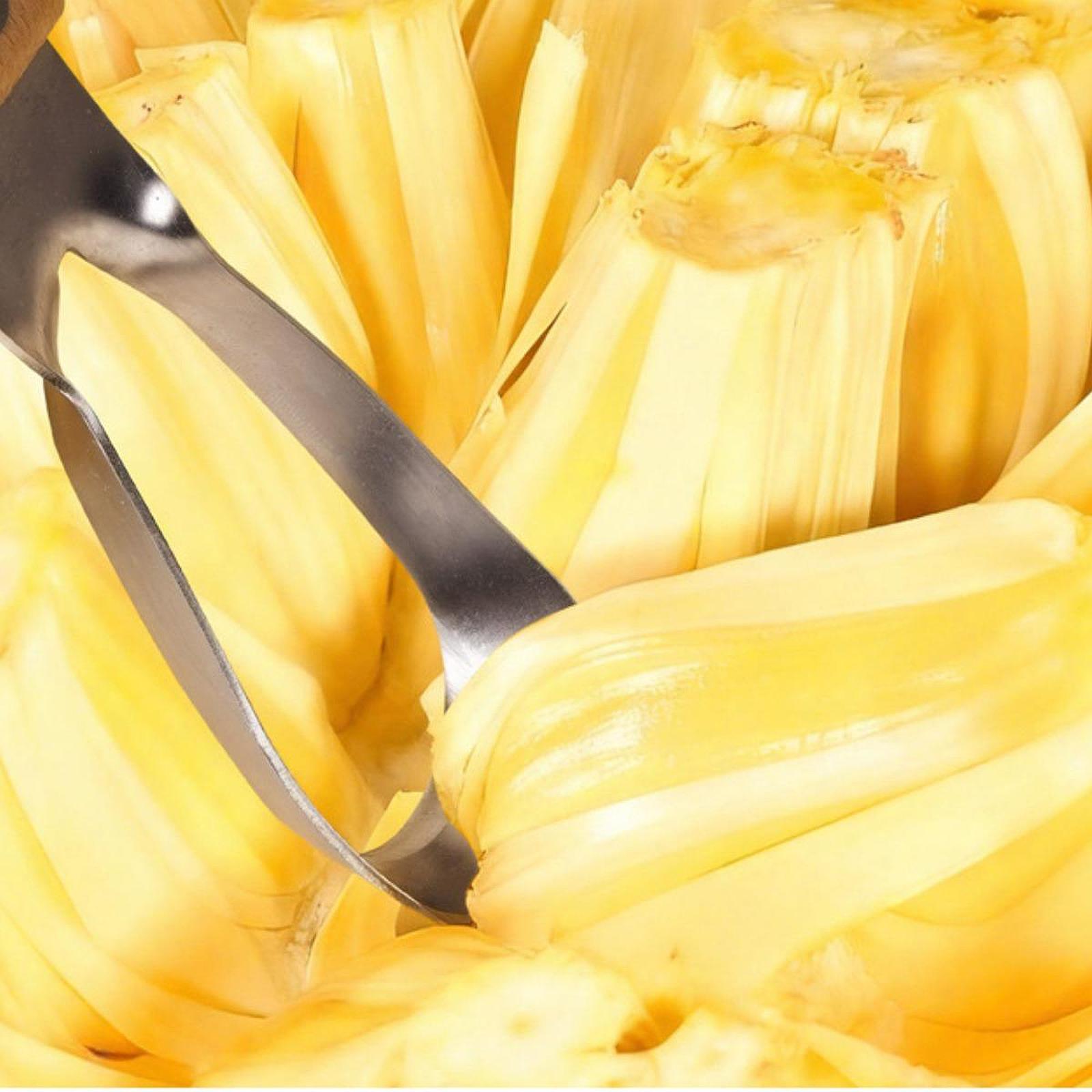Jackfruit-ontpitter, draagbaar - Kitchen Gadgets Store recensie en prijs